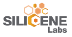 Silicene Labs Builds 2D Materials Briefing Book