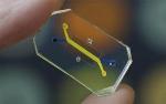Newly Formed Company to Commercialize Human 'Organs-on-Chips' Technology