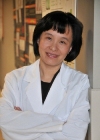 NSF Awards $330,000 Grant to Investigate Nanorod and Nanowire Synthesis Using Nanoparticle Seeds
