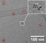 Gold Nanoparticles Self-Assemble Into Small Clusters
