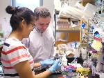 Mammoth Nuclear Magnetic Resonance Used to Study Disordered Proteins