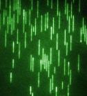 Convex Lens-Induced Confinement Tool Enables Loading of DNA Strands into Tunable Nanoscale Imaging Chambers