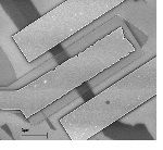 NSF Awards $1.7 Million Grant to Characterize and Synthesize New Class of Ultra-Thin Film Materials