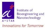 Nano Today Journal Records High Impact Factor