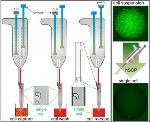 Researchers Capture and Release Single-Cells