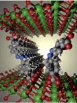 Magnetic Properties of Inorganic Materials Could be Modulated Through Organic Photoactive Molecules