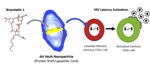 Engineered Vault Nanoparticles Could Lead to More Effective Treatments for Cancer and HIV