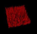 Researchers Use Vertical Nanowires to Create More Varied Surfaces Where Artificial Membranes can Form
