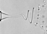 Microfluidic Device Helps Convert Chaotic Waveform into Stable Helical Form