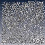 Electron Tomography Helps Analyze 3D Macromolecular Architecture of Plant Cell Walls
