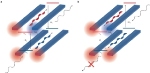 Experimental Interferometer Helps Prove Magnetic Field for Light