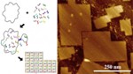 World’s Largest DNA Origami Created