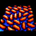 Picene Molecule Demonstrates Potential for Electronic Applications