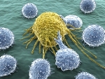 Cancer-Immune Cyberwar Nanocarriers
