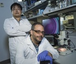 Pediatric Heart-Defect Patches Infused with Conductive Single-Walled Carbon Nanotubes