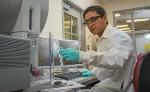 Study Sheds New Light on Mechanism of Platelet Formation