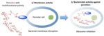 UCLA Re-Engineers Antibiotics to Enhance Activity Against Persister Cells