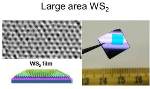 Three Penn State Teams Receive NSF Grants to Explore 2D Materials