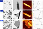 Nanosheets Hold Promise for Nanomedicine