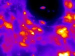 Magnetic Fields with Nanoparticles used to Control Brain Cells Remotely