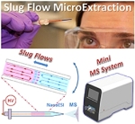 Slug Flow Microextraction NanoESI Enables Mass Spectrometry Analysis of Biofluid Samples