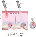 Enhanced Red-Emission Nanoparticles Combined with Photodynamic Drug Therapy Kills Malignant Cells