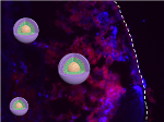 Anticancer Nanomedicines Have an Optimal Particle Size