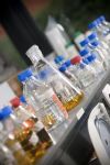 Hybrid Diagnostic ‘Nanodecoder’ for Improvement of Cancer Treatment