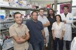 Iron Oxide Nanoparticles Help Increase Production of Biogas
