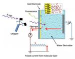Molecular Structure of Water Observed at Nanoscale Interfacial Region of Gold Electrodes