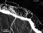 Researchers Build Flexible, Solid-State Supercapacitors Using Graphene and Carbon Nanotubes
