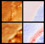 First Direct Observations of One-Dimensional Boundary Separating Two Different, Atom-Thin Materials