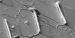 Researchers Create Powerful 3-D Microtube Platform to Study Neuron Growth