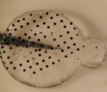 Researchers Create Light-Sensitive Film Using Semiconductor Nanorods and Carbon Nanotubes