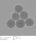 Joint Venture on Multifunctional Nanoparticles for Magnetic Hyperthermia and Indirect Radiation Therapy