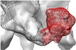 New Electron Microscopy Techniques Help Probe Workings of HIV