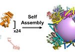 Biochemists Create Large Nanoscale Protein Container