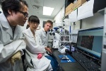 New Hybrid Vehicle for Delivery of Genetically Engineered DNA Vaccines