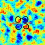 Phase-Contrast Microscopy Helps Follow Movement of Cells and Tissue Dynamics
