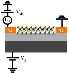 Researchers Fabricate Back-Gated Field-Effect Phototransistors Made of MoSe2 Crystals