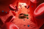 Nanomimics of Host Cell Membranes can Trick Malaria Parasites