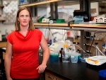 Nanoparticle System Decorated with Nanobodies to Locate Cellular Source of Brain Damage