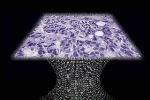 Lens-Free Microscope Detects Cancer with the Same Accuracy as Expensive Optical Microscopes
