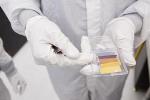 Nanothin Semiconductor Layer Provides Ultrathin Coatings in Vivid Colors