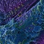 EMSL’s HAADF STEM Microscopy Reveals Bacterium and Nearly Nano-Geothite