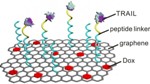Graphene Strip Flying Carpets Deliver Two Anticancer Drugs Sequentially