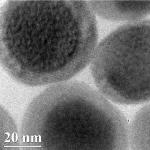 Newly Designed Nanoparticle Can Be Detected By Six Medical Imaging Techniques
