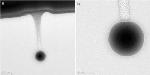 Nanotechnologists Use Gold ‘Nanodrills’ for DNA Analysis