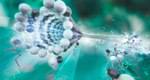 Wear Plays a Critical Role in Design of Nanomachines