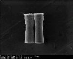 Micromotors Fueled By Stomach Acid Deliver More Gold Nanoparticles